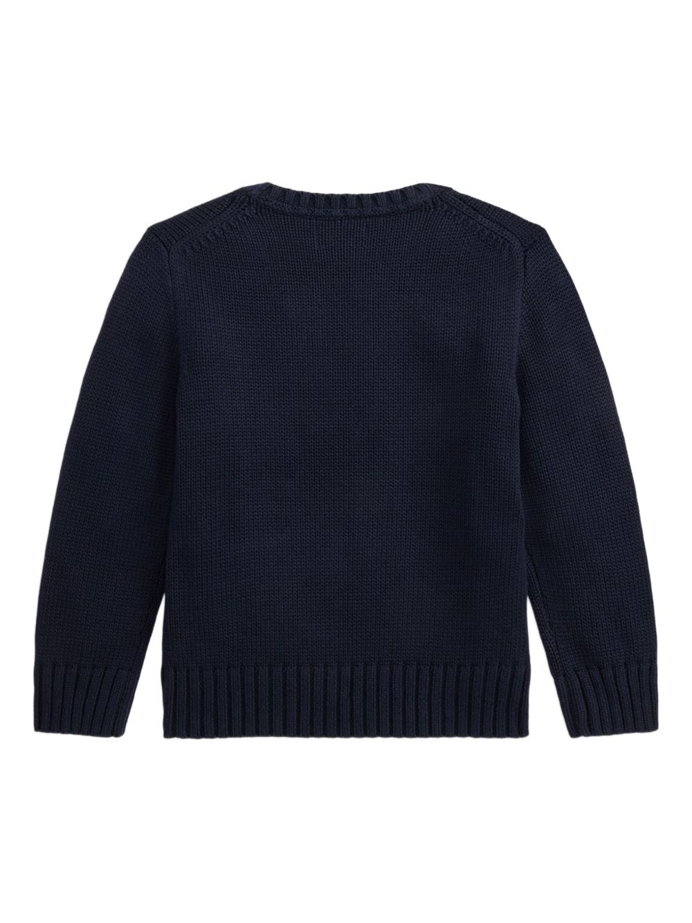 Maglione per bambino Polo Ralph Lauren Kids blu con caratteristico motivo Polo Pony 322970429 005 Ralph Lauren kids 