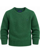 Maglione per bambino Ralph Lauren Kids verde con logo rimato sul petto 322970429 GREEN Ralph Lauren kids 