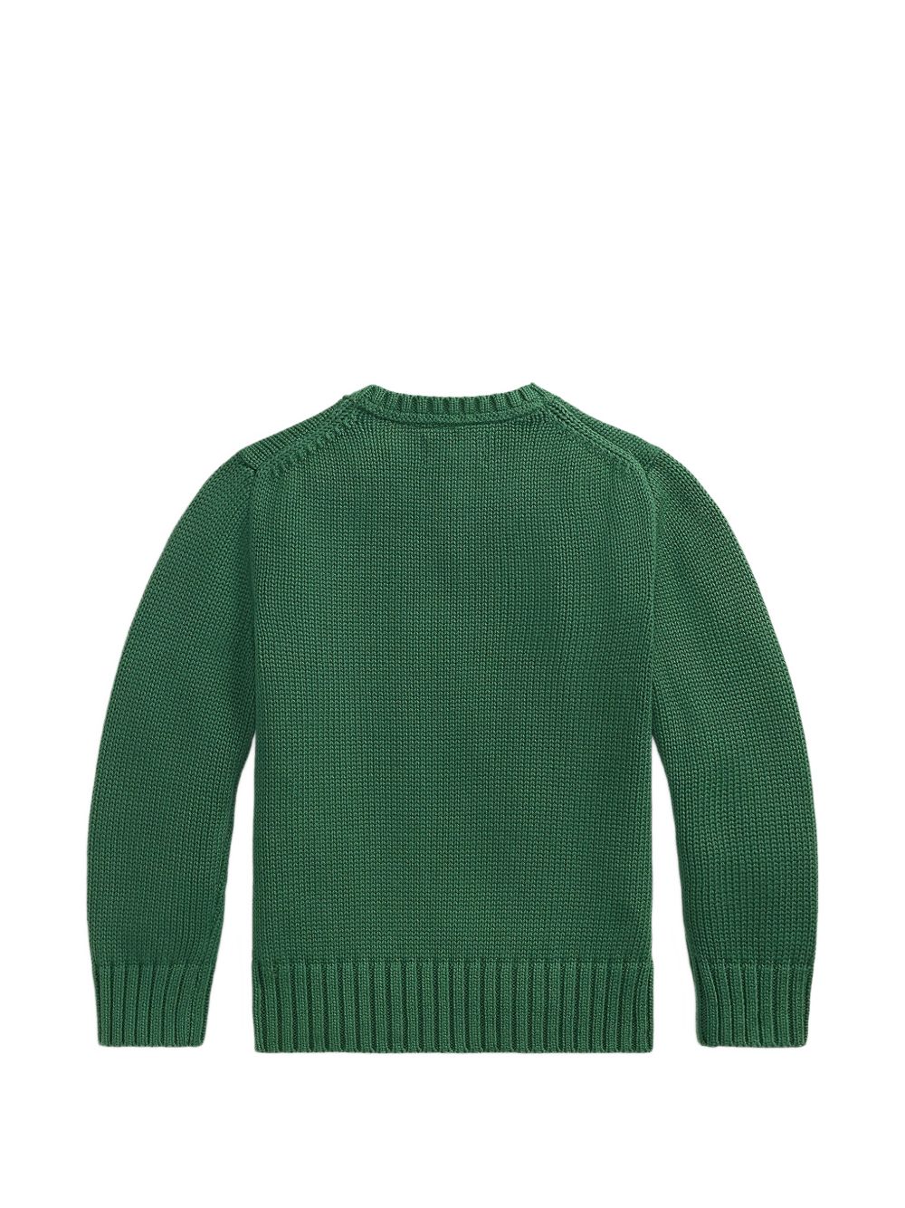 Maglione per bambino Ralph Lauren Kids verde con logo rimato sul petto 322970429 GREEN Ralph Lauren kids 
