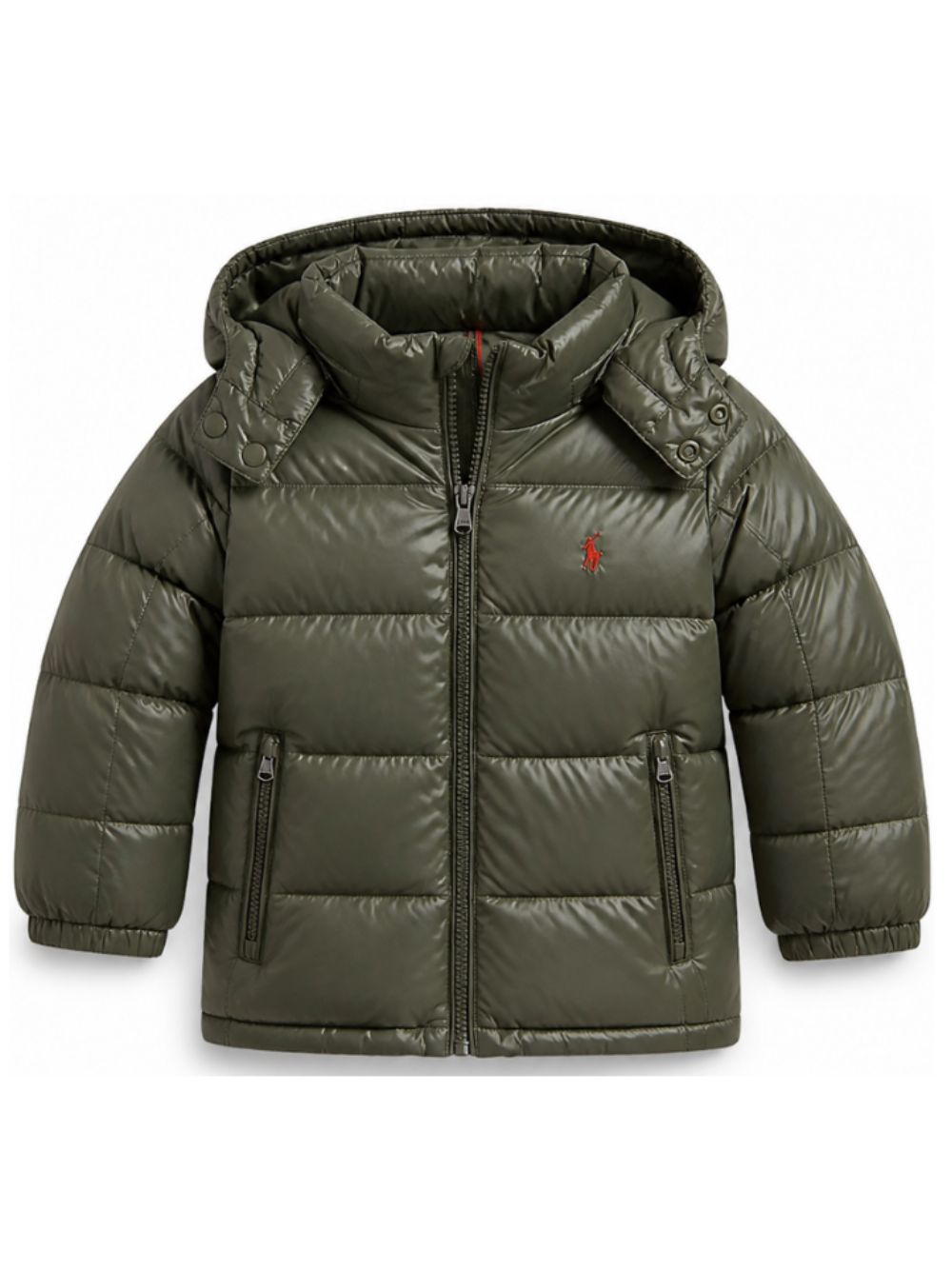 Giubbino per bambino Polo Ralph Lauren Kids verde con caratteristico motivo Polo Pony 322978459 500 Ralph Lauren kids 