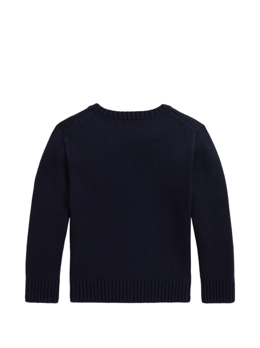 Maglione per bambino Polo Ralph Lauren Kids blu con ricamo cagnolino 322B28343 001 Ralph Lauren kids 