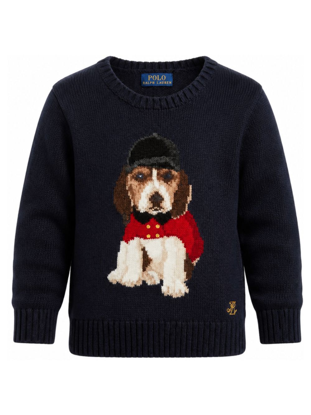 Maglione per bambino Polo Ralph Lauren Kids blu con ricamo cagnolino 322B28343 001 Ralph Lauren kids 
