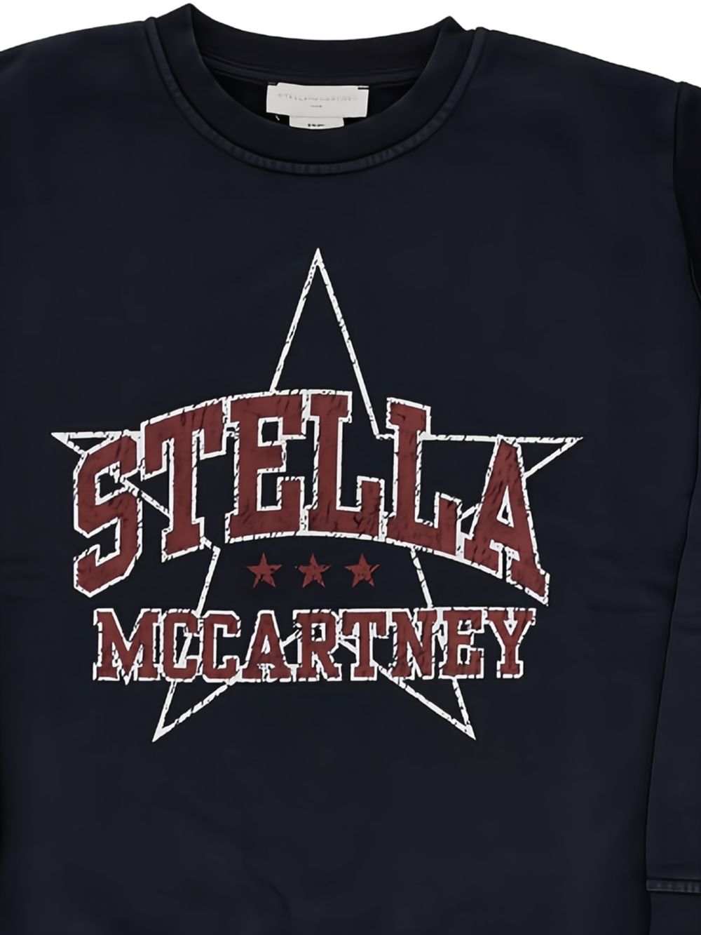 Felpa per bambini Stella McCartney Kids blu con stampa logo TZ4B10 Z3826 61L STELLA McCARTNEY KIDS 
