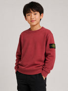 Felpa per bambino Stone Island Kids bordeaux con distintivo Compass L2S166100001S0A20 V0014 STONE ISLAND KIDS 