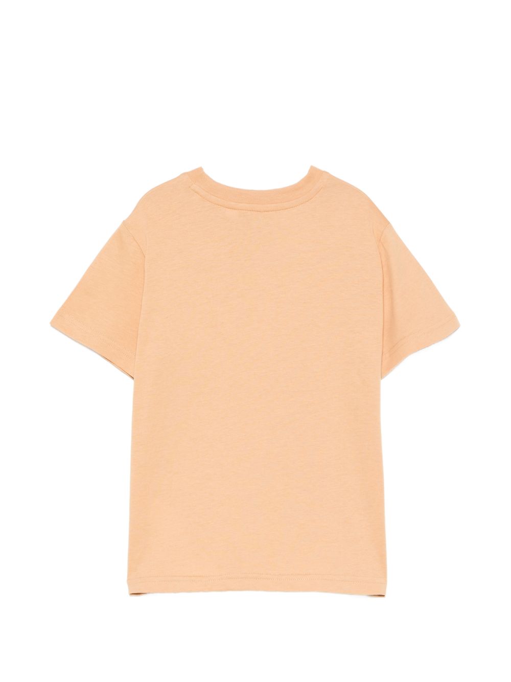 T-shirt per bambino Timberland Kids beige con stampa grafica T60969 230 TIMBERLAND KIDS 