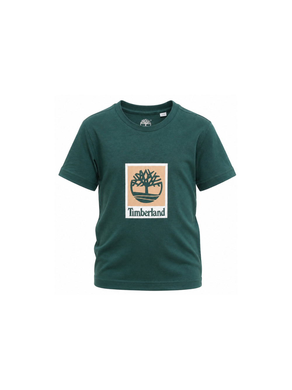T-shirt per bambino Timberland Kids verde con stampa logo T60969 68R TIMBERLAND KIDS 