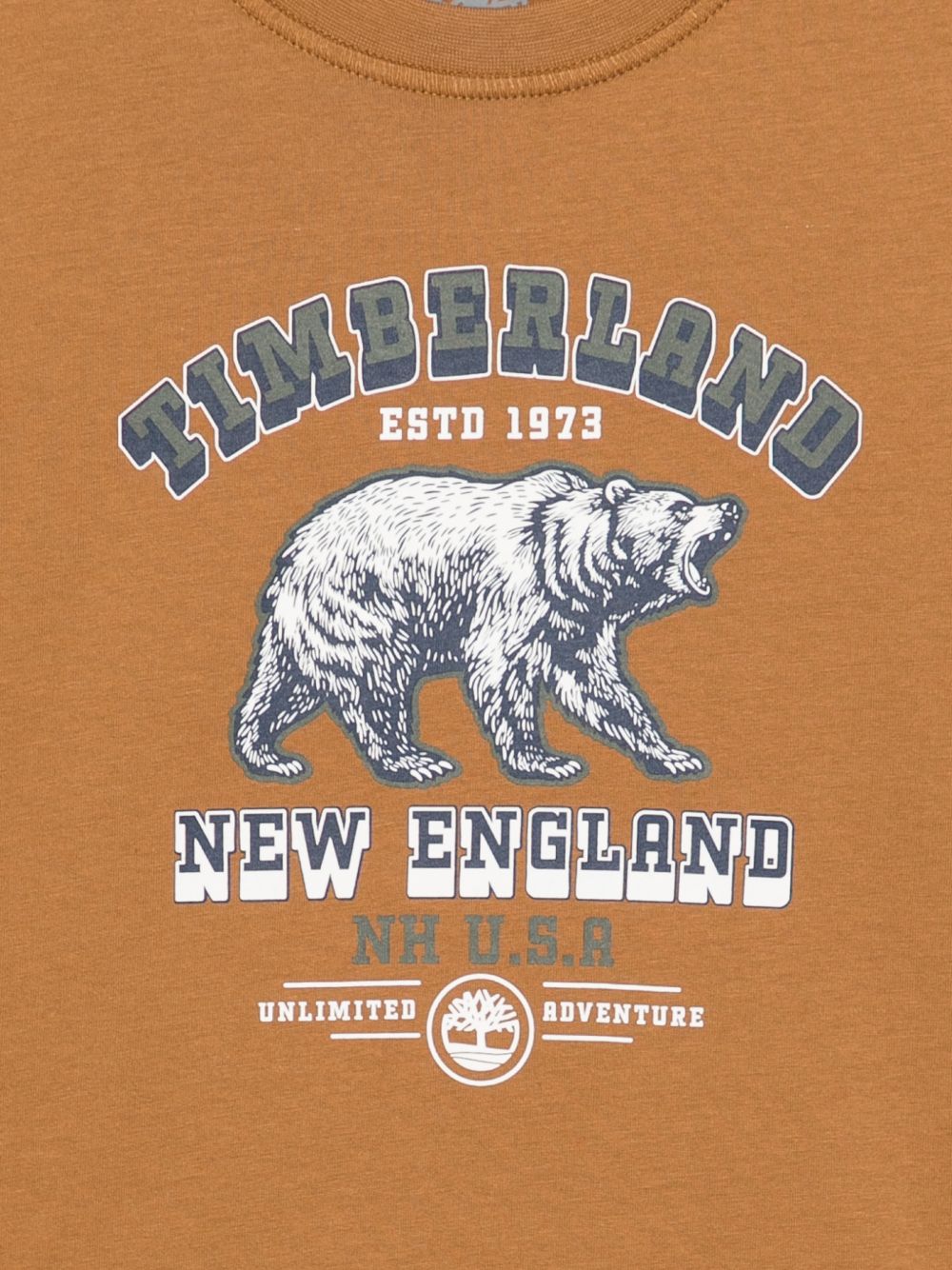 T-shirt per bambino Timberland Kids marrone con stampa grafica T61053 325 TIMBERLAND KIDS 