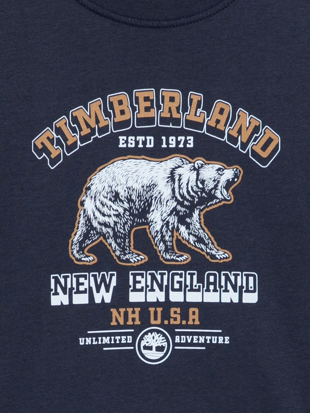 T-shirt per bambino Timberland Kids blu con stampa grafica T61053 849 TIMBERLAND KIDS 