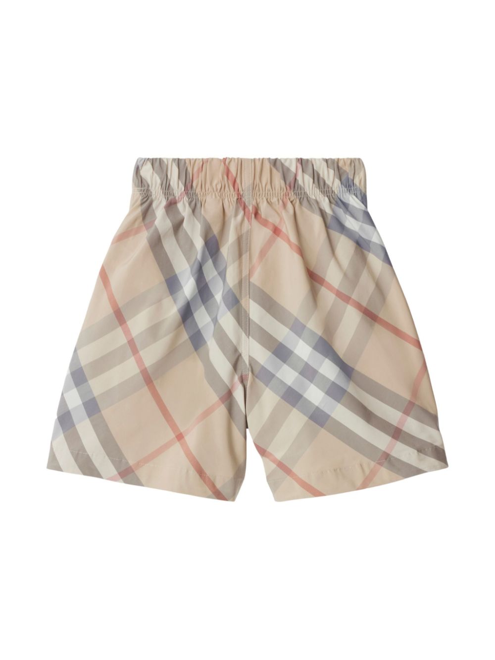 BURBERRY KIDS 8089215A2205