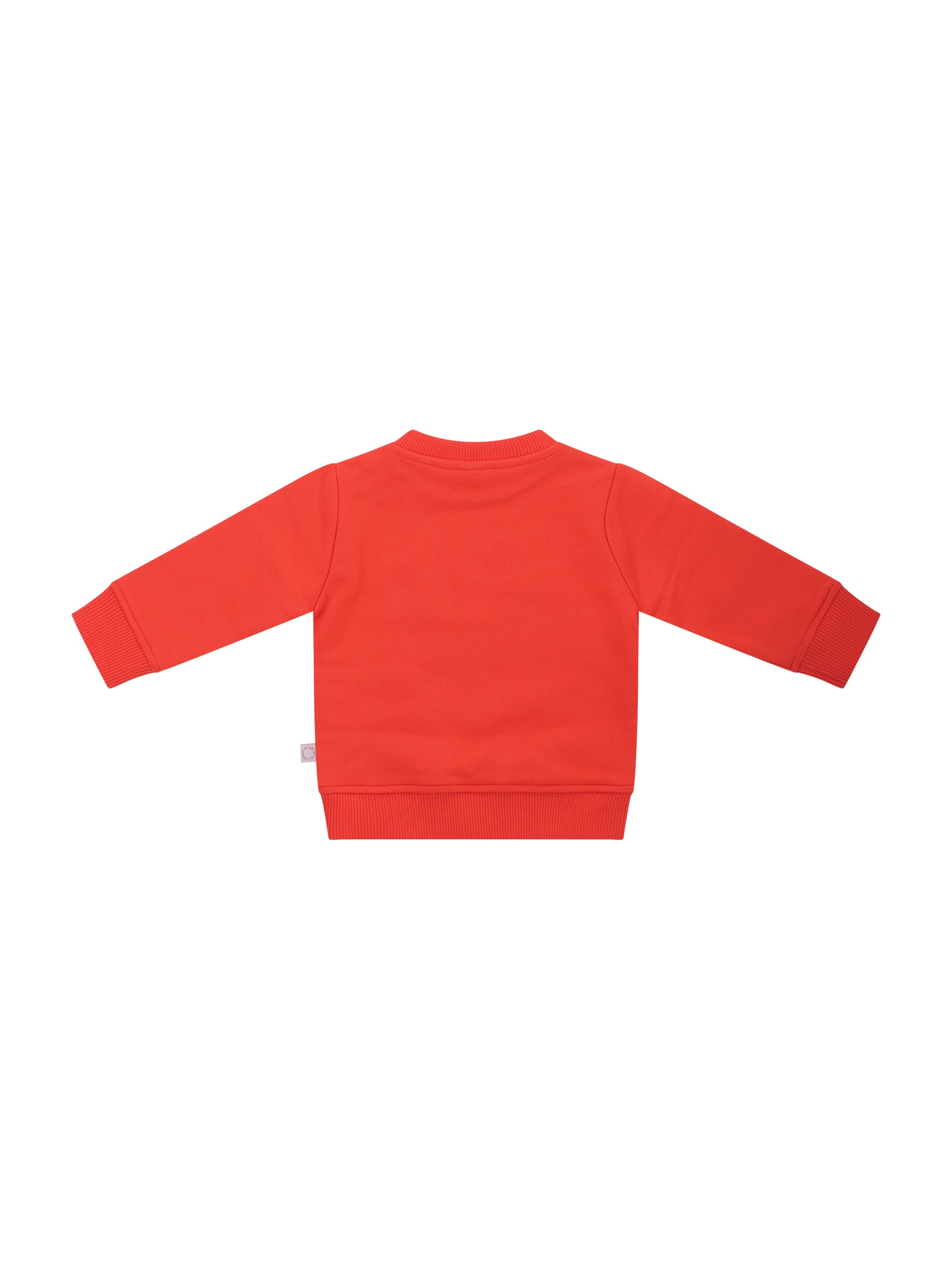 Felpa per bambina Stella McCartney Kids rossa con stampa fiore sul davanti TY4080 Z0499 426 STELLA McCARTNEY KIDS 