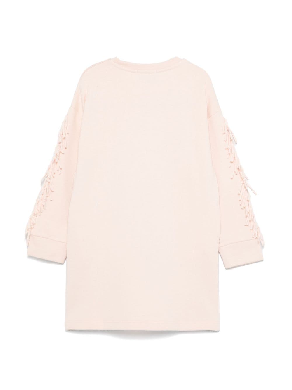 Abito con stampa grafica per bambina Stella McCartney Kids rosa con scollo rotondo - Rubino Kids