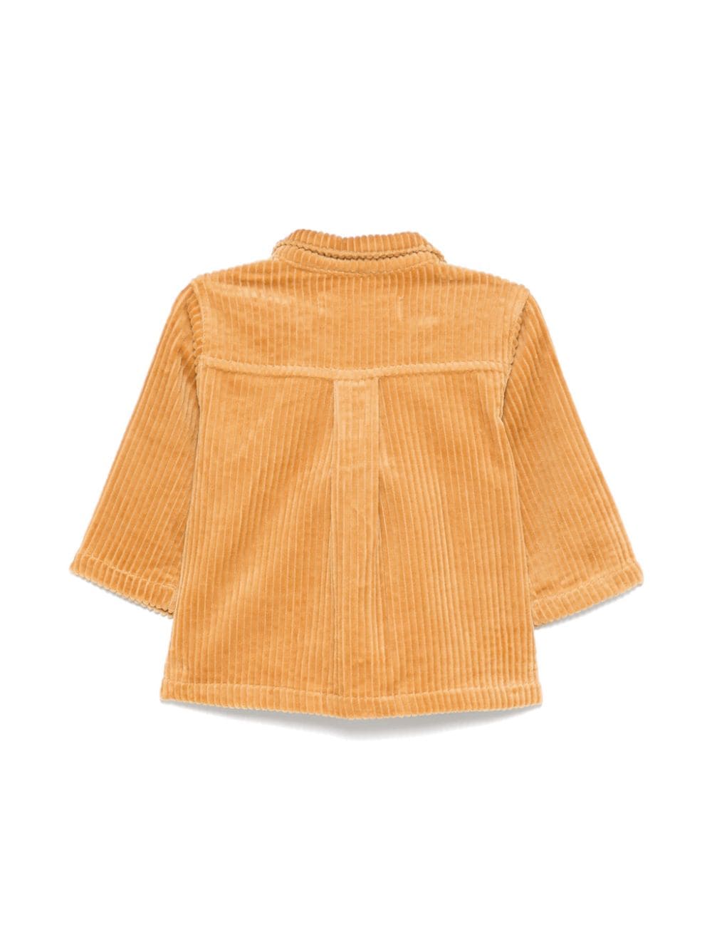 Camicia a coste per neonato Tartine Et Chocolat marrone con colletto classico - Rubino Kids