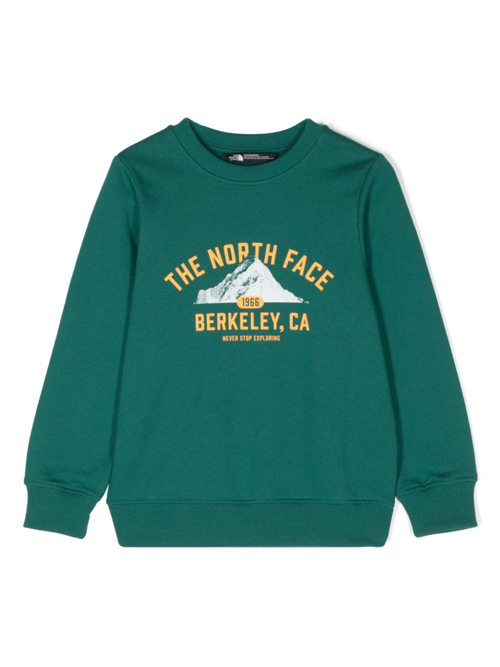 Felpa per bambino The North Face verde con stampa con logo sul petto - Rubino Kids