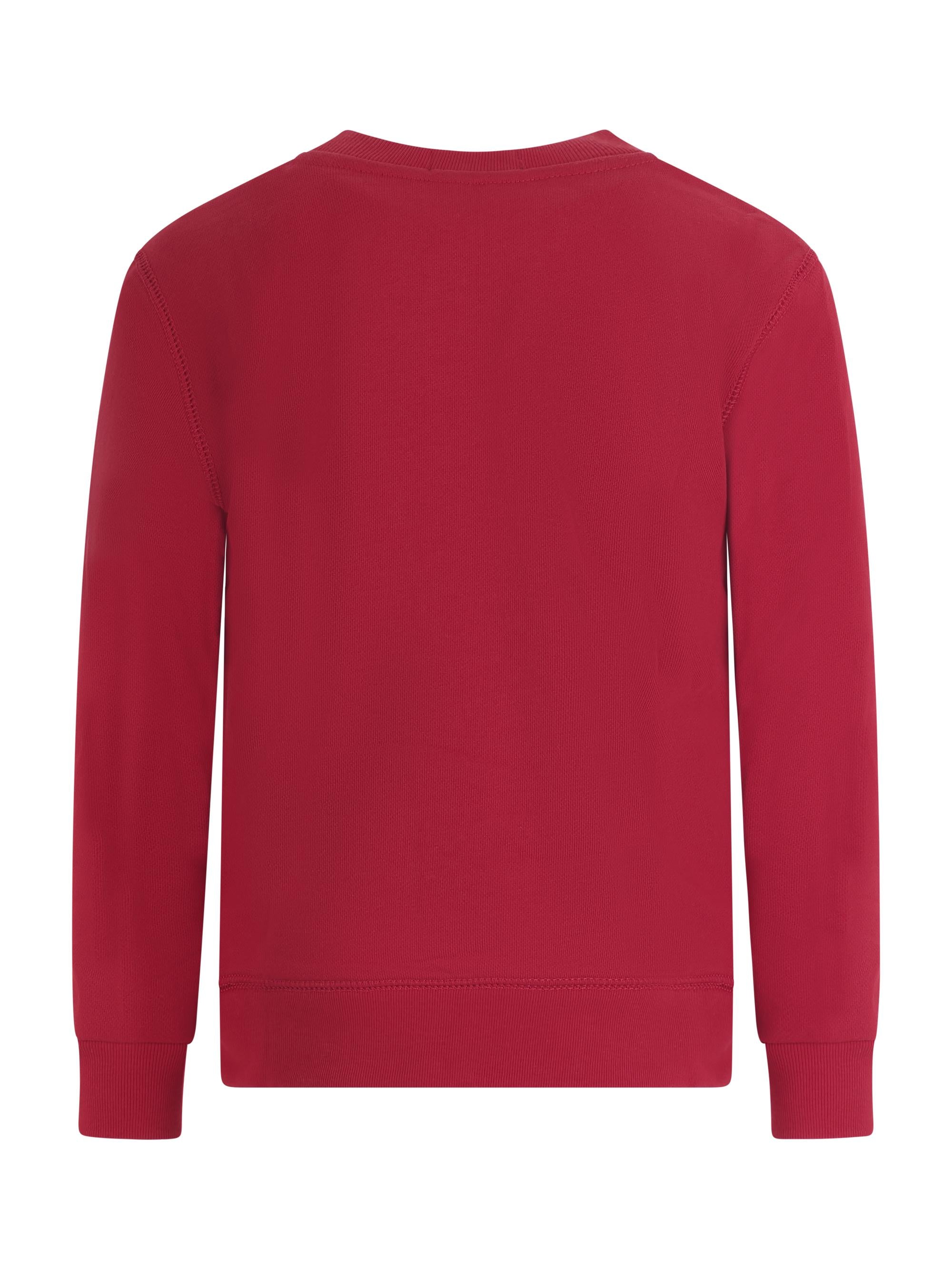 Felpa per bambino Polo Ralph Lauren Kids rossa con stampa Polo Bear 322A10261 003 Ralph Lauren kids 