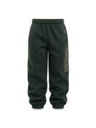 Pantaloni sportivi per bambino Molo Kids verdi con stampa grafica sul lato 1W26I201 5721 MOLO KIDS 