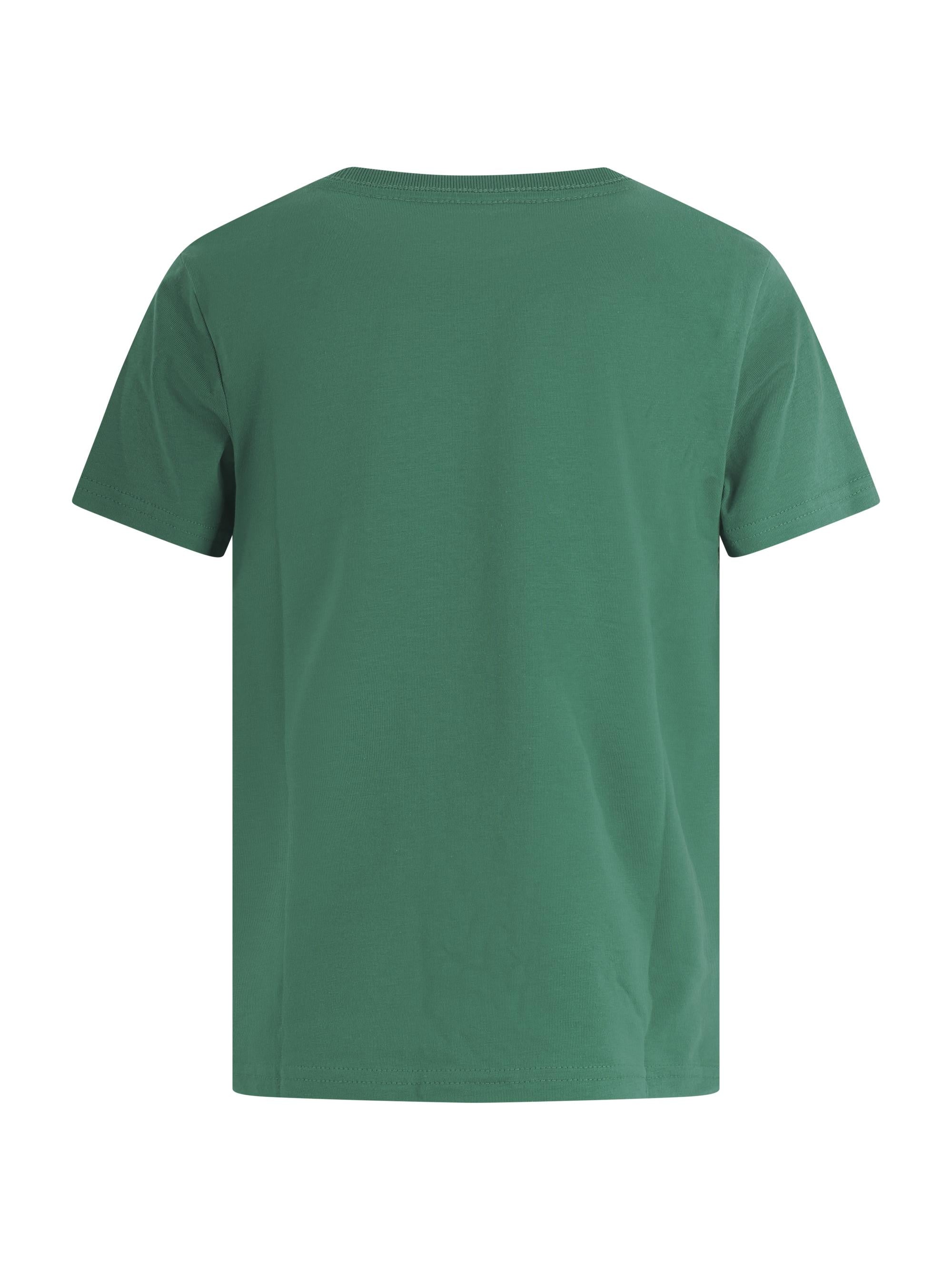 T-shirt per bambino Ralph Lauren Kids verde con stampa grafica sul davanti 322A96607 001 Ralph Lauren kids 