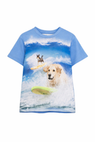 T-shirt per bambino Molo Kids azzurro con scollo rotondo 1S26A206 9880 MOLO KIDS 