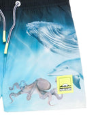 Costume da bagno per bambino Molo azzurri con stampa animali marini 8S26P402 5213 MOLO KIDS 