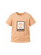 T-shirt per bambino Timberland Kids beige con stampa grafica T60969 230 TIMBERLAND KIDS 