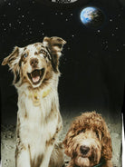 T-shirt per bambino Molo nera con stampa con due cagnolini 1W25A403 9614 MOLO 