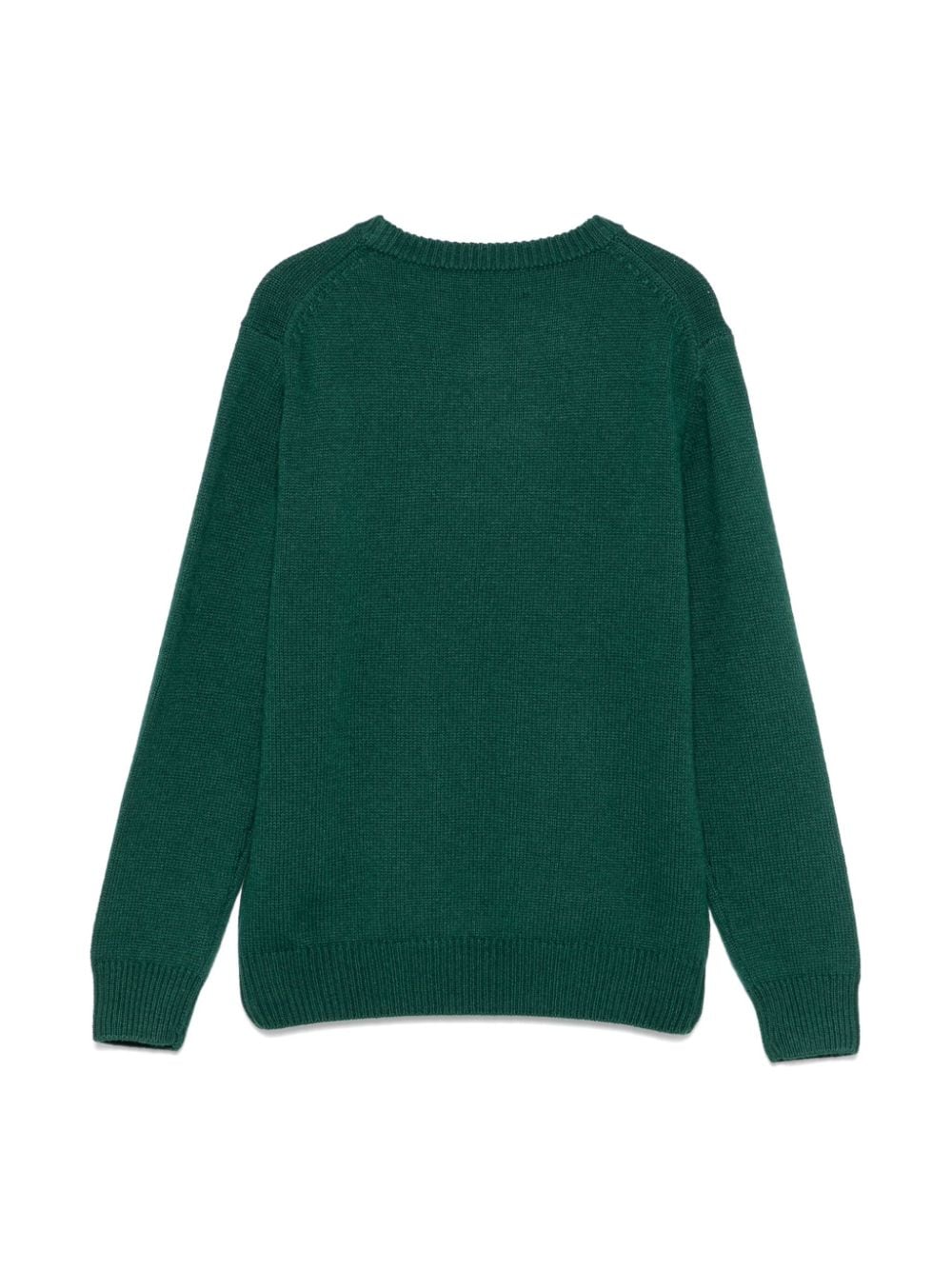 Maglione Douglas per bambino MC2 Saint Barth Kids verde con motivo ricamato - Rubino Kids