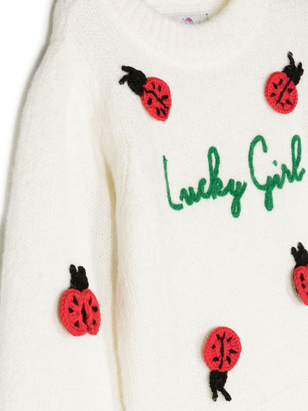 Maglione girocollo Ladybug - Rubino Kids