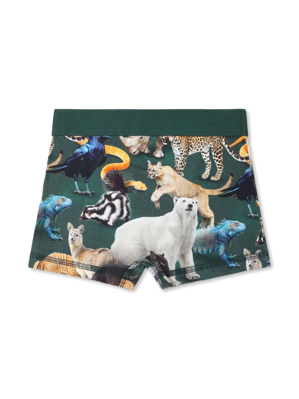 Set di 2 boxer con stampa per bambno Molo verde con stampa animalier - Rubino Kids