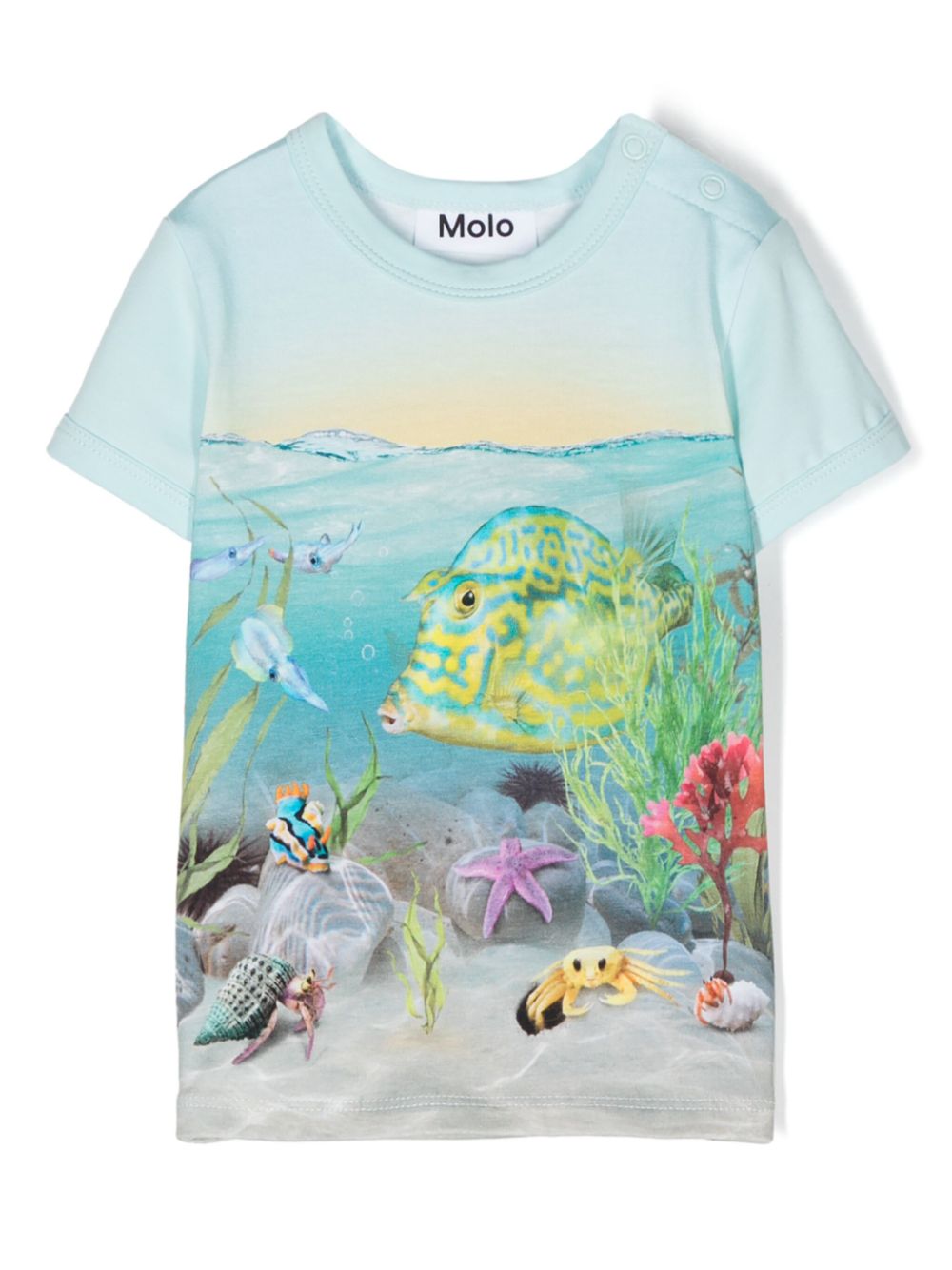 T shirt per bambina azzurra Molo con stampa fondo marino e pesce palla centrale - Rubino Kids