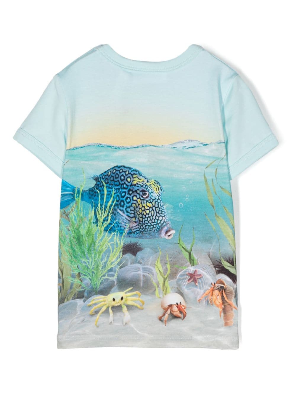 T shirt per bambina azzurra Molo con stampa fondo marino e pesce palla centrale - Rubino Kids