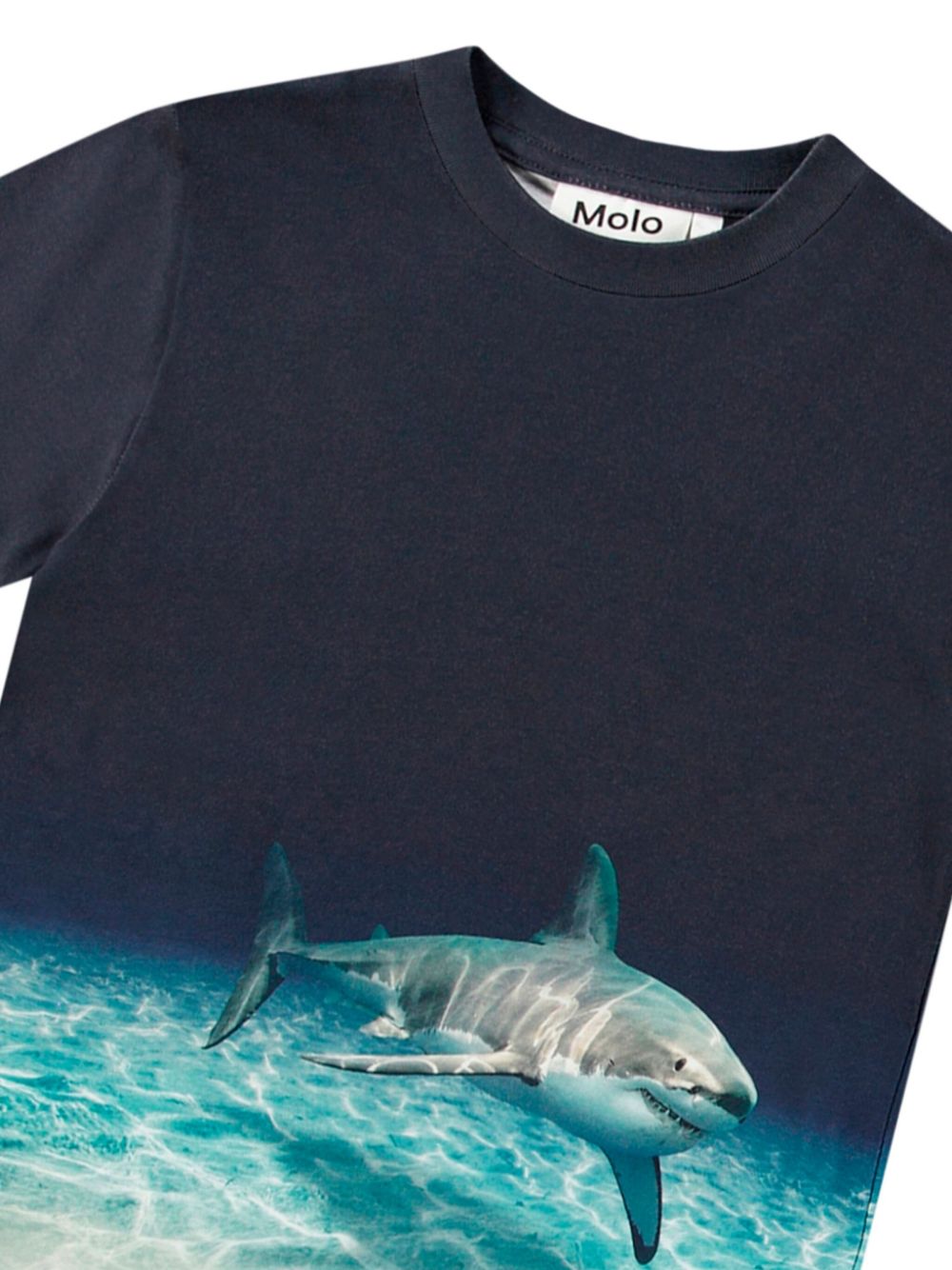 T-shirt per bambino Molo blu con stampa grafica - Rubino Kids