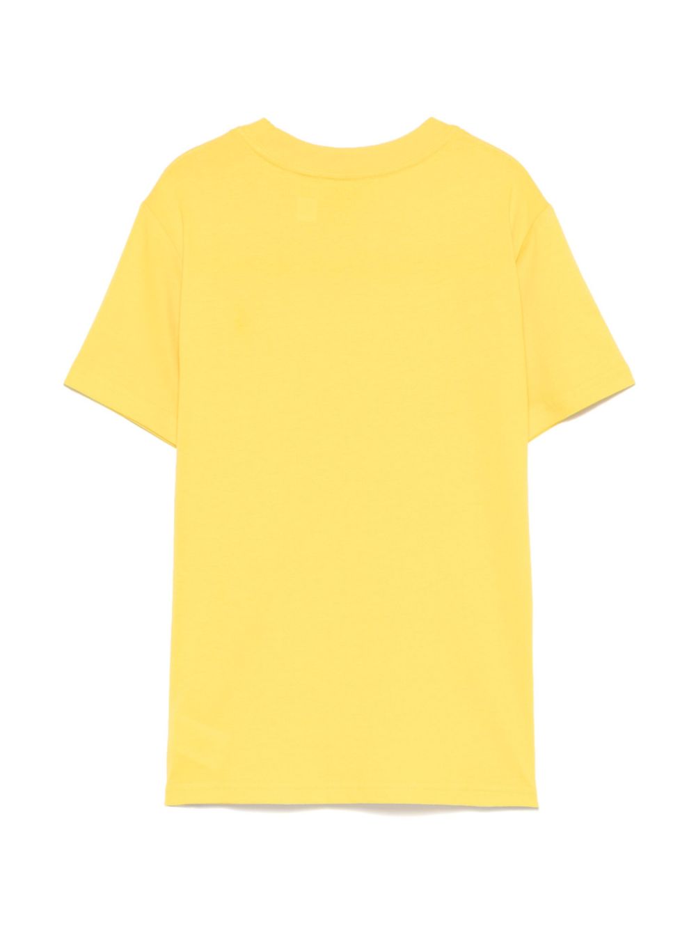 T-shirt per bambino Polo Ralph Lauren Kids giallo con motivo Polo Pony - Rubino Kids